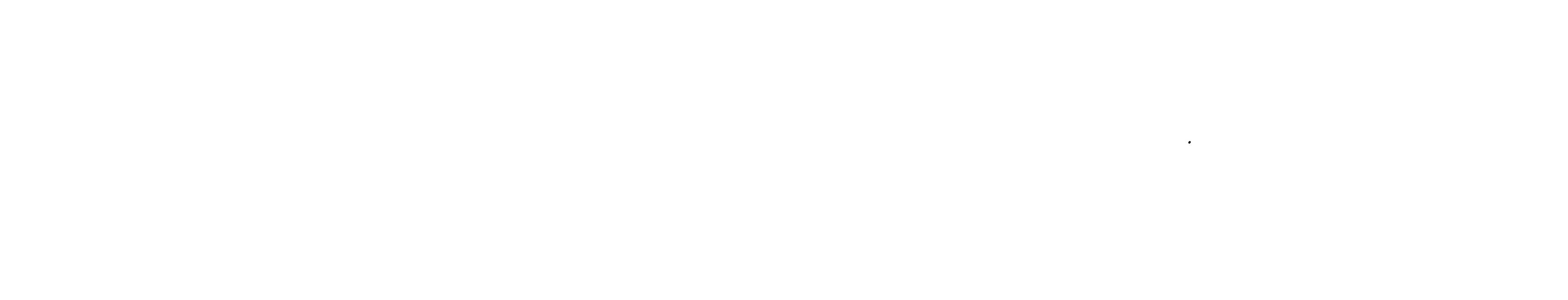 Possum Hour